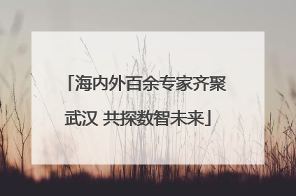海内外百余专家齐聚武汉 共探数智未来