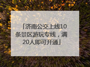 济南公交上线10条景区游玩专线，满20人即可开通