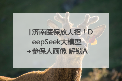 济南医保放大招！DeepSeek大模型+参保人画像 解锁AI医保管家新体验