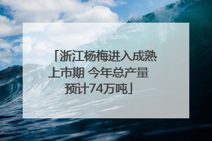 浙江杨梅进入成熟上市期 今年总产量预计74万吨