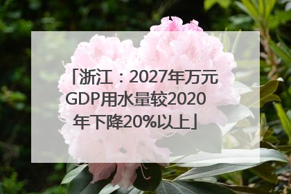 浙江：2027年万元GDP用水量较2020年下降20%以上