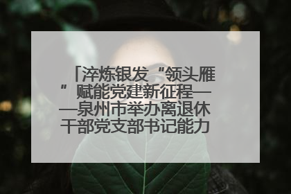淬炼银发“领头雁”赋能党建新征程——泉州市举办离退休干部党支部书记能力建设专题培训