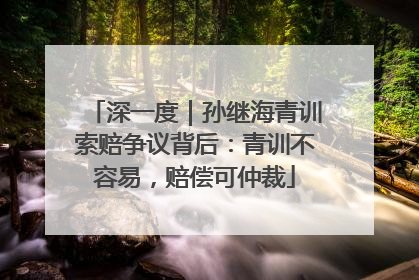 深一度｜孙继海青训索赔争议背后：青训不容易，赔偿可仲裁