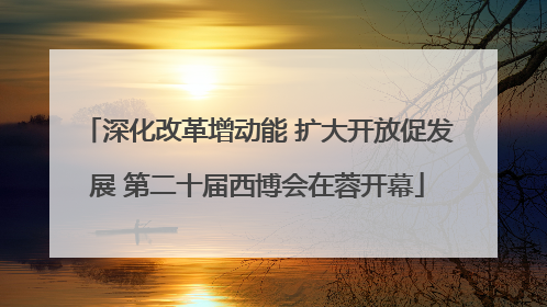 深化改革增动能 扩大开放促发展 第二十届西博会在蓉开幕