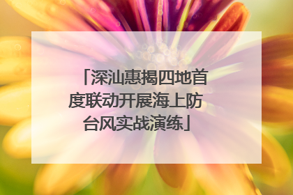 深汕惠揭四地首度联动开展海上防台风实战演练