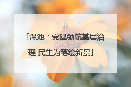 渑池：党建领航基层治理 民生为笔绘新景