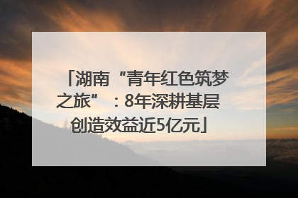 湖南“青年红色筑梦之旅”：8年深耕基层创造效益近5亿元