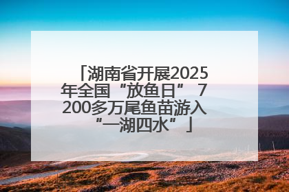 湖南省开展2025年全国“放鱼日” 7200多万尾鱼苗游入“一湖四水”