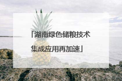 湖南绿色储粮技术集成应用再加速