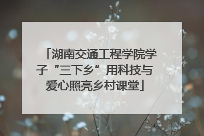 湖南交通工程学院学子“三下乡”用科技与爱心照亮乡村课堂