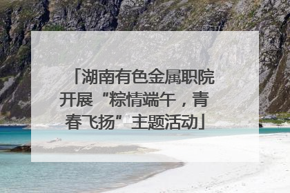 湖南有色金属职院开展“粽情端午，青春飞扬”主题活动