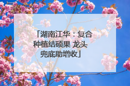 湖南江华：复合种植结硕果 龙头兜底助增收