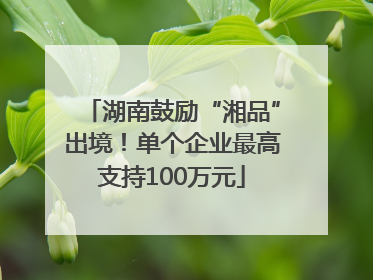 湖南鼓励“湘品”出境！单个企业最高支持100万元