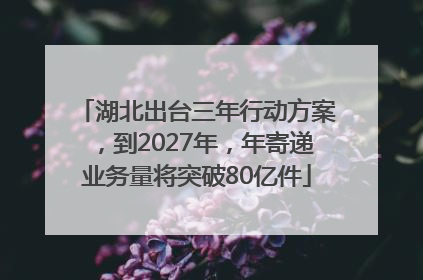 湖北出台三年行动方案，到2027年，年寄递业务量将突破80亿件