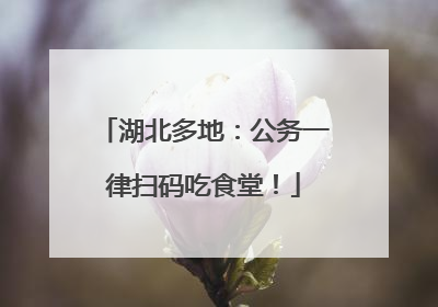 湖北多地：公务一律扫码吃食堂！