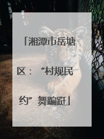 湘潭市岳塘区：“村规民约”舞蹁跹