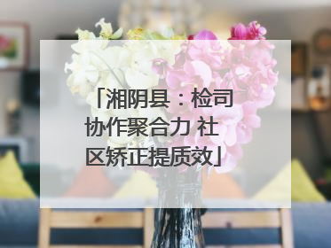 湘阴县：检司协作聚合力 社区矫正提质效