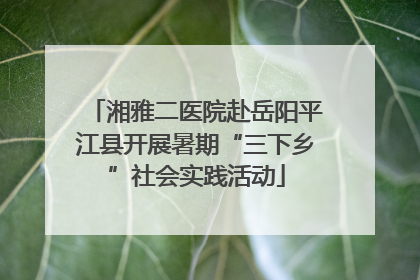 湘雅二医院赴岳阳平江县开展暑期“三下乡”社会实践活动