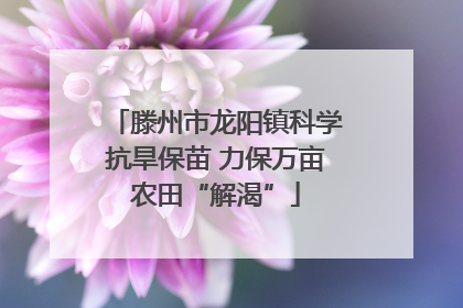 滕州市龙阳镇科学抗旱保苗 力保万亩农田“解渴”