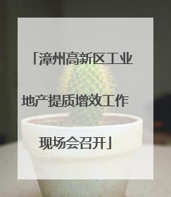 漳州高新区工业地产提质增效工作现场会召开