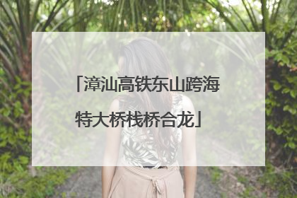 漳汕高铁东山跨海特大桥栈桥合龙