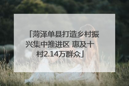 菏泽单县打造乡村振兴集中推进区 惠及十村2.14万群众