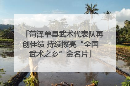 菏泽单县武术代表队再创佳绩 持续擦亮“全国武术之乡”金名片