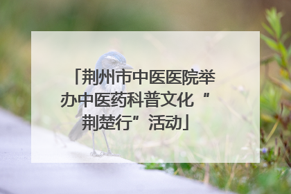 荆州市中医医院举办中医药科普文化“荆楚行”活动