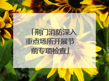 荆门消防深入重点场所开展节前专项检查