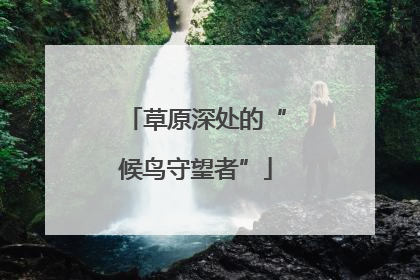 草原深处的“候鸟守望者”