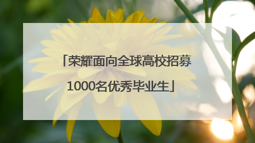 荣耀面向全球高校招募1000名优秀毕业生