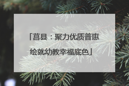 莒县：聚力优质普惠 绘就幼教幸福底色