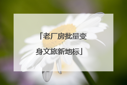 老厂房批量变身文旅新地标