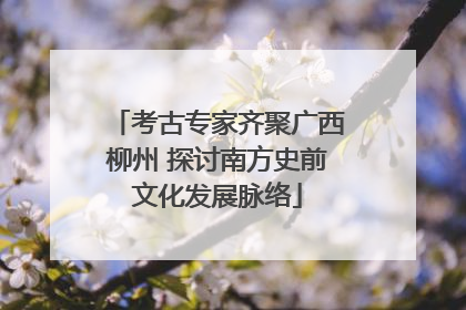 考古专家齐聚广西柳州 探讨南方史前文化发展脉络