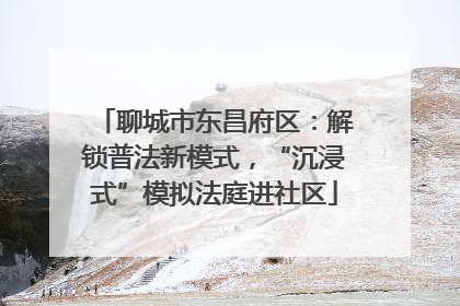 聊城市东昌府区：解锁普法新模式，“沉浸式”模拟法庭进社区
