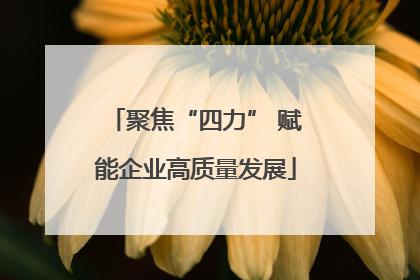 聚焦“四力” 赋能企业高质量发展