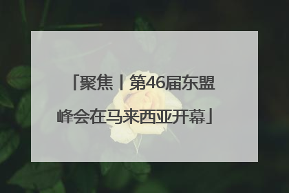 聚焦丨第46届东盟峰会在马来西亚开幕