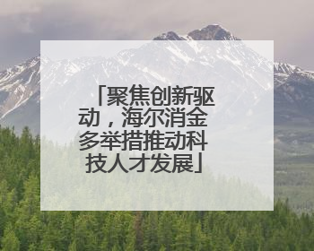 聚焦创新驱动，海尔消金多举措推动科技人才发展
