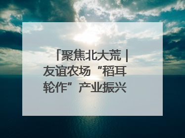 聚焦北大荒｜友谊农场“稻耳轮作”产业振兴“花开两朵”