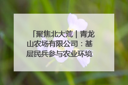 聚焦北大荒｜青龙山农场有限公司：基层民兵参与农业环境综合治理显效