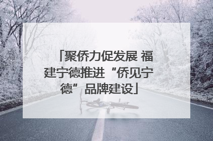 聚侨力促发展 福建宁德推进“侨见宁德”品牌建设