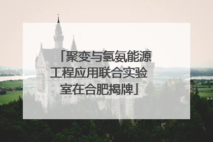 聚变与氢氨能源工程应用联合实验室在合肥揭牌
