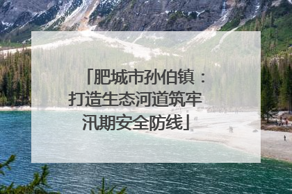 肥城市孙伯镇：打造生态河道筑牢汛期安全防线