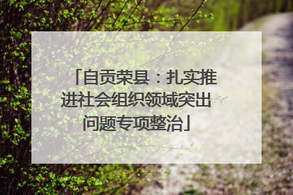 自贡荣县：扎实推进社会组织领域突出问题专项整治