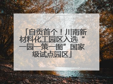自贡首个！川南新材料化工园区入选“一园一策一图”国家级试点园区