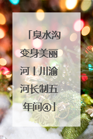 臭水沟变身美丽河丨川渝河长制五年间④