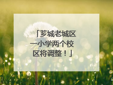 芗城老城区一小学两个校区将调整！