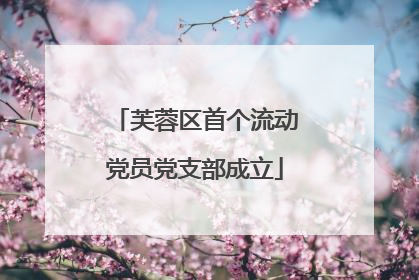 芙蓉区首个流动党员党支部成立