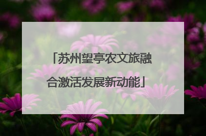 苏州望亭农文旅融合激活发展新动能