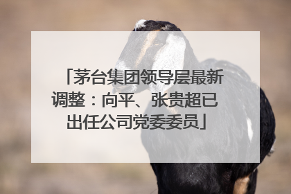 茅台集团领导层最新调整：向平、张贵超已出任公司党委委员